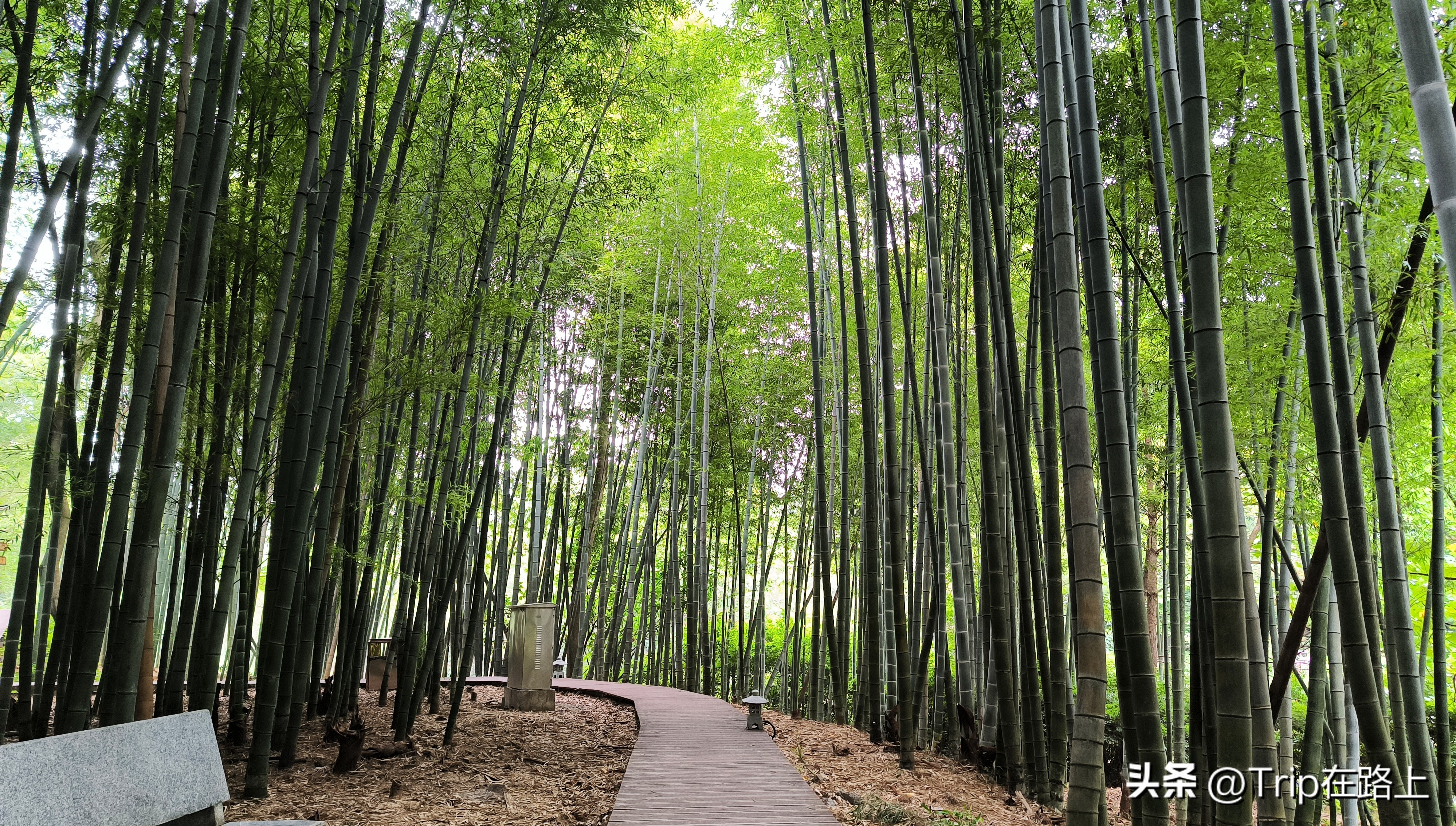 避暑山涧,避暑幽境