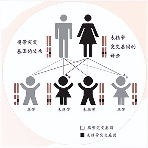 儿童听力小常识大全,如何培养和促进儿童听力发展