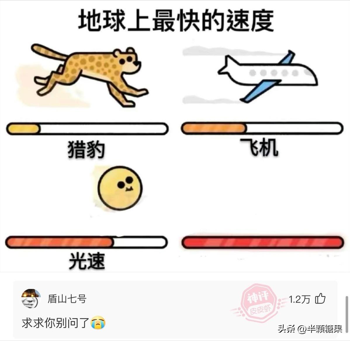 爆笑神回复之彩礼抵消术,爆笑神回复视频主持人