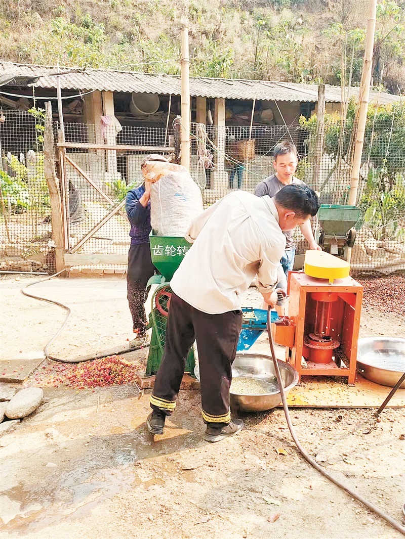 农村振兴农民致富,乡村振兴脱贫致富项目