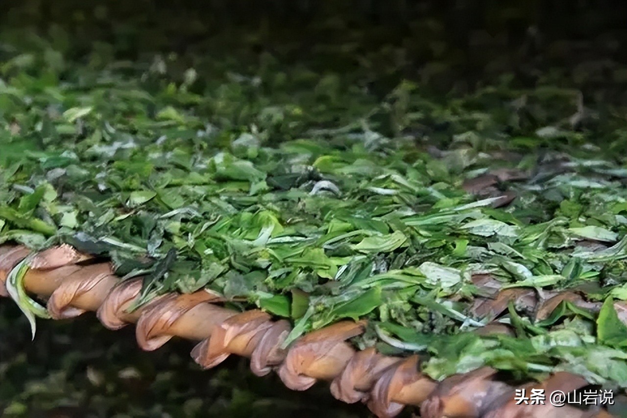 中国茶史,中国茶史书