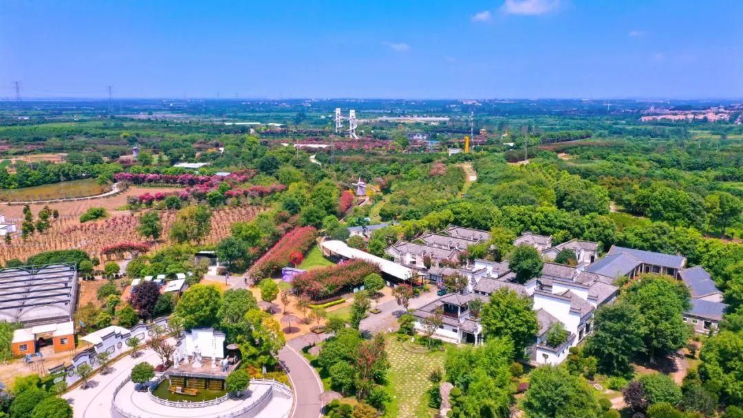 过年买给小朋友的零食礼物,致小朋友的一份礼物请查收