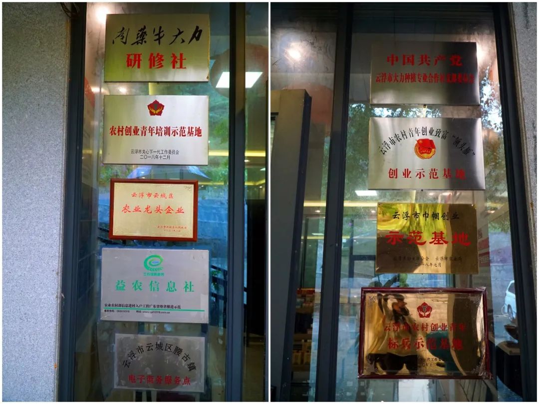 新时代新作为⑲|程感桃:“IT男”华丽变身“职业农民”