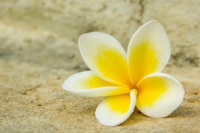 怎样对待和自己翻脸的亲人,怎么对待翻脸的人