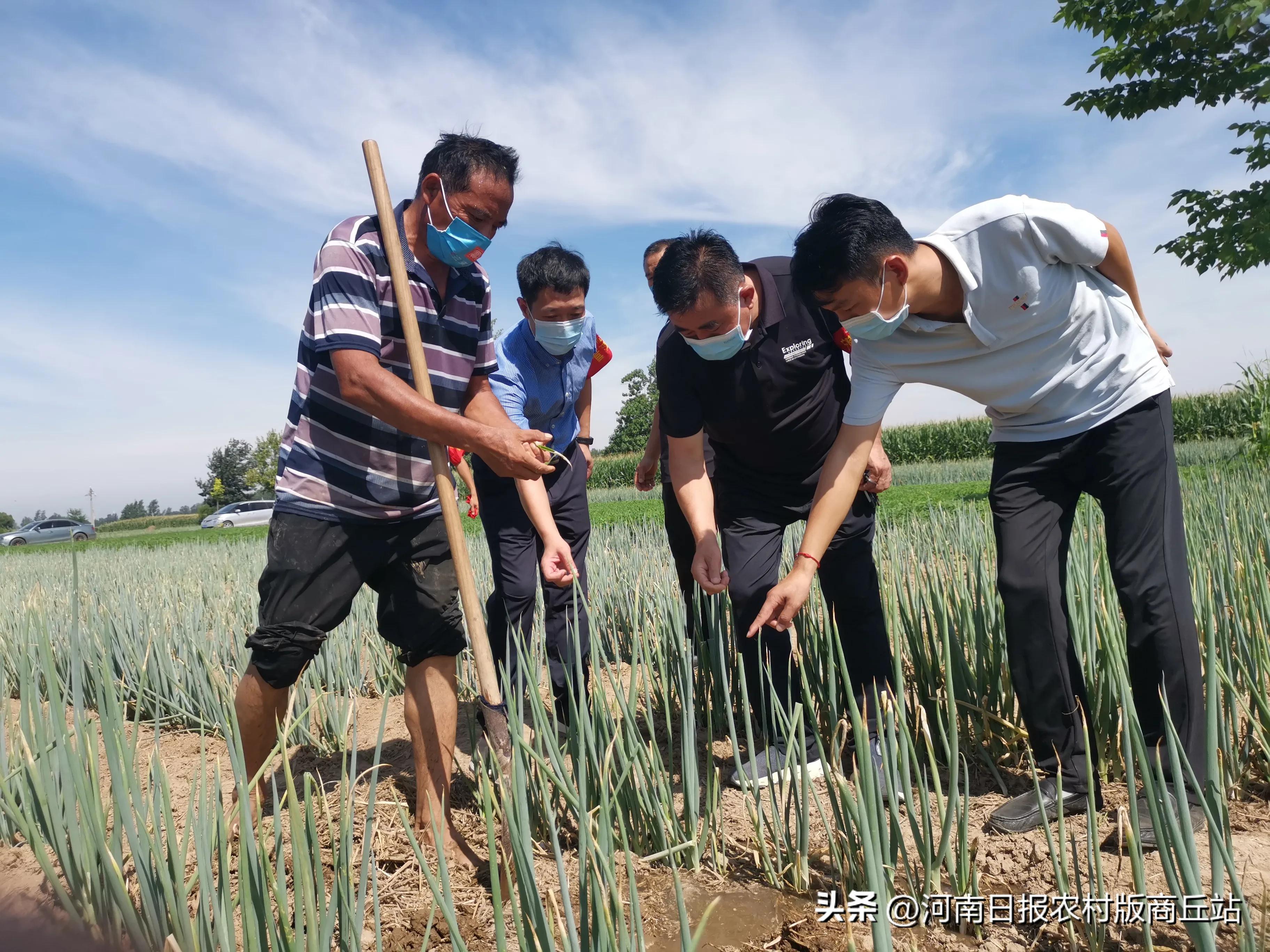 抗疫一线炼初心——记宁陵县卫健委派驻孔集乡桑庄村第一书记路杰