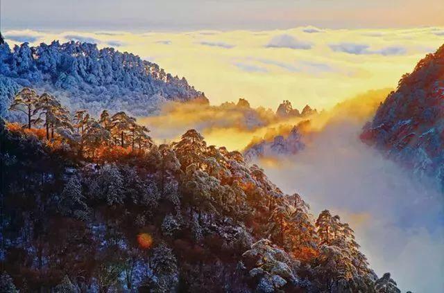 信任带来温暖作文,信任是最重要的作文