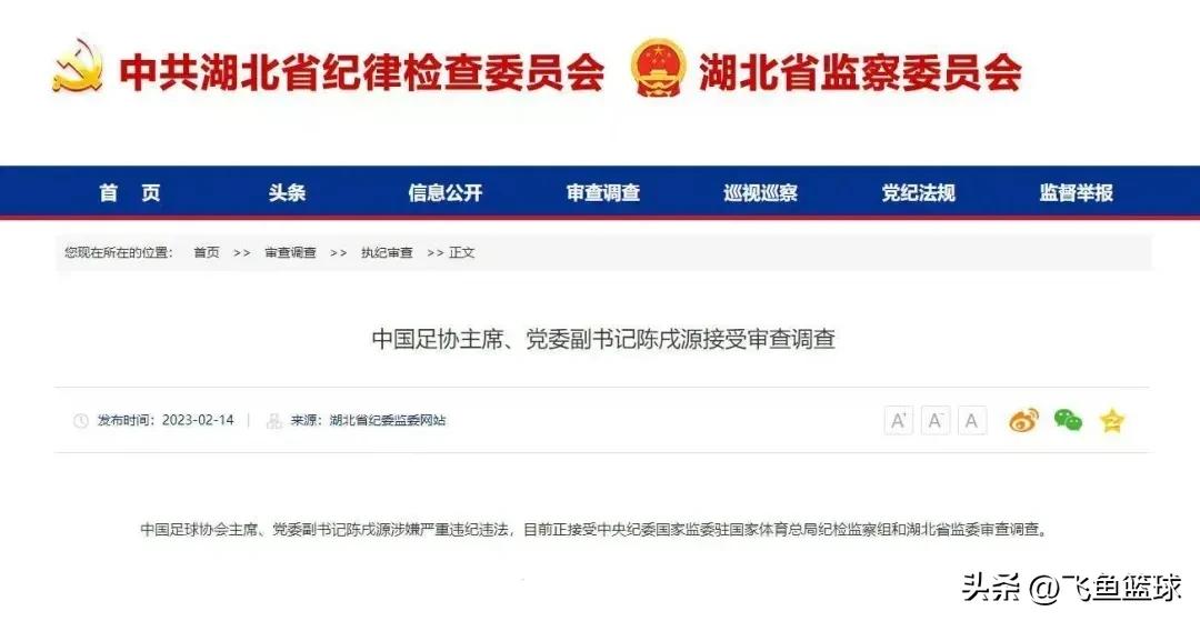 难忘的“擒人节”！中国足协主席陈戌源涉嫌严重违纪违法被调查