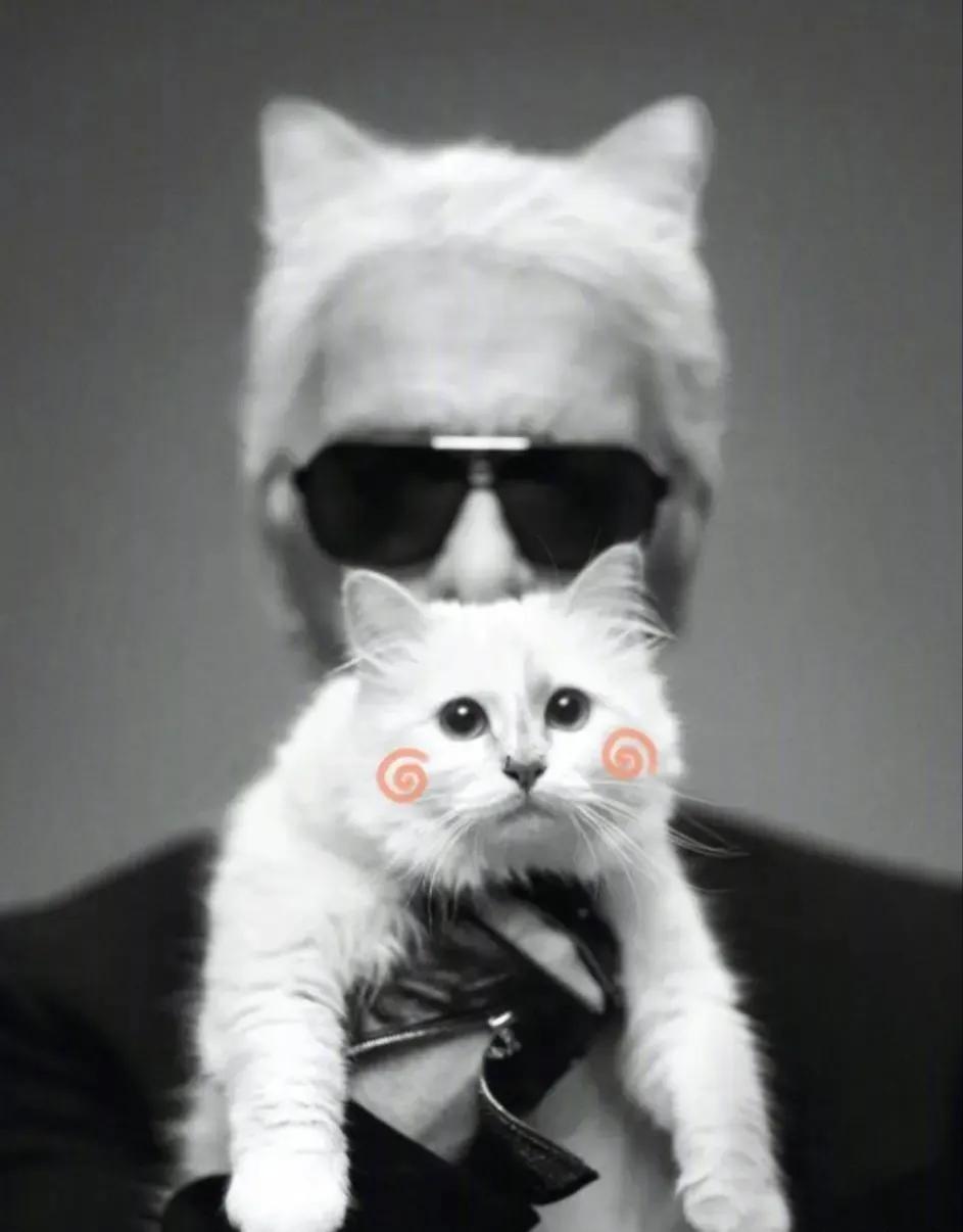 世界上最有钱的猫，坐拥21亿的财富