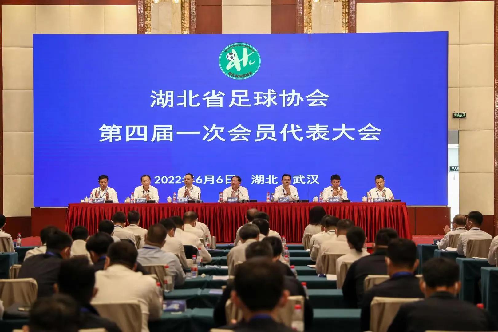 王霜当选足协执委,王霜当选湖北足协会副会长