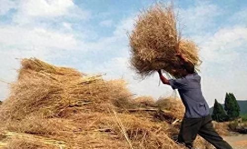 秸秆草砖新型建材,秸秆变肥料