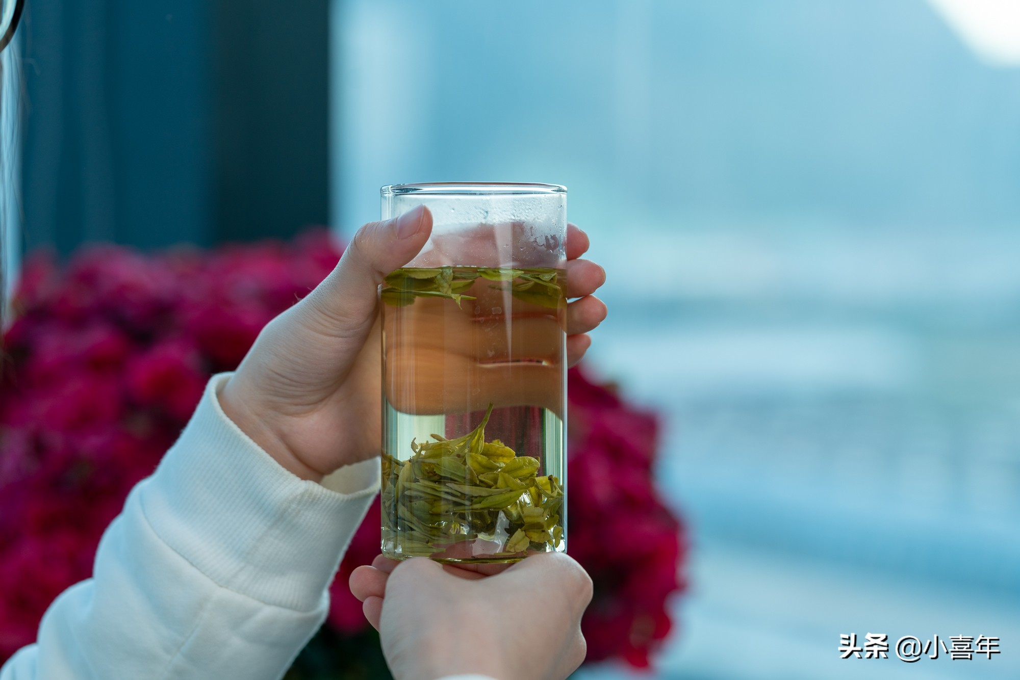 怎么冲泡龙井茶好喝呢图片,龙井茶怎么冲泡才能保持最佳口感