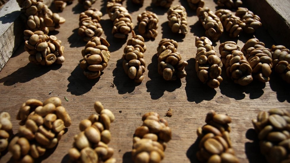 香水原料有粪便,香水是不是用动物粪便做成的