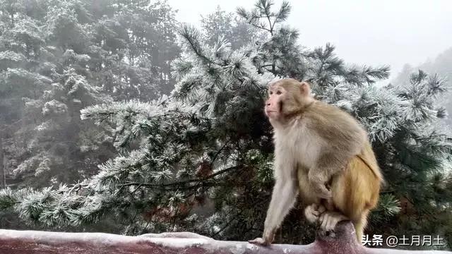 上班时间小职员被老板抓,上班时间被老板抓到玩游戏怎么办
