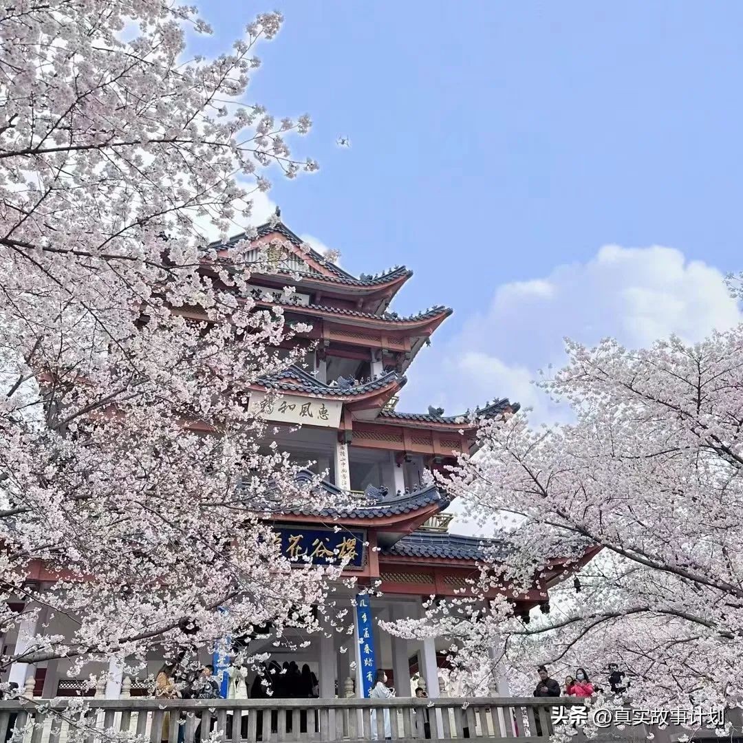 蹲族,蹲族靠什么生活