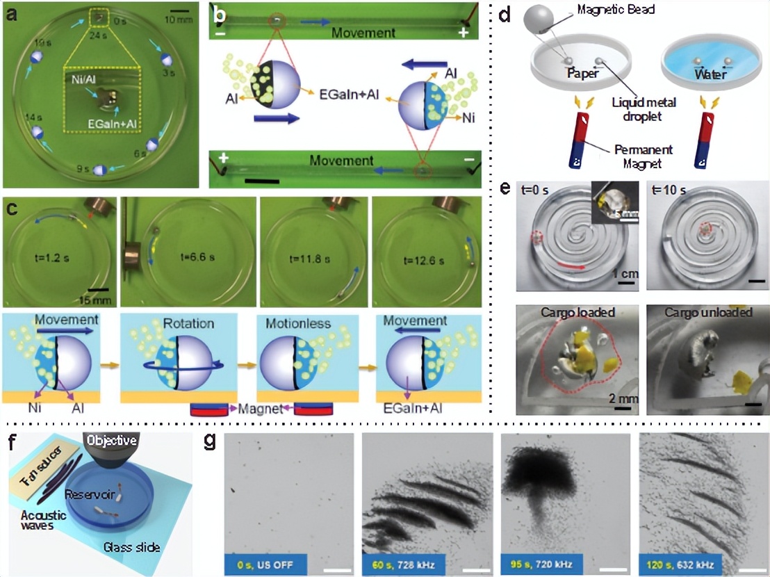 南开大学Adv.Mater顶刊综述：液态金属EGaIn特性及应用