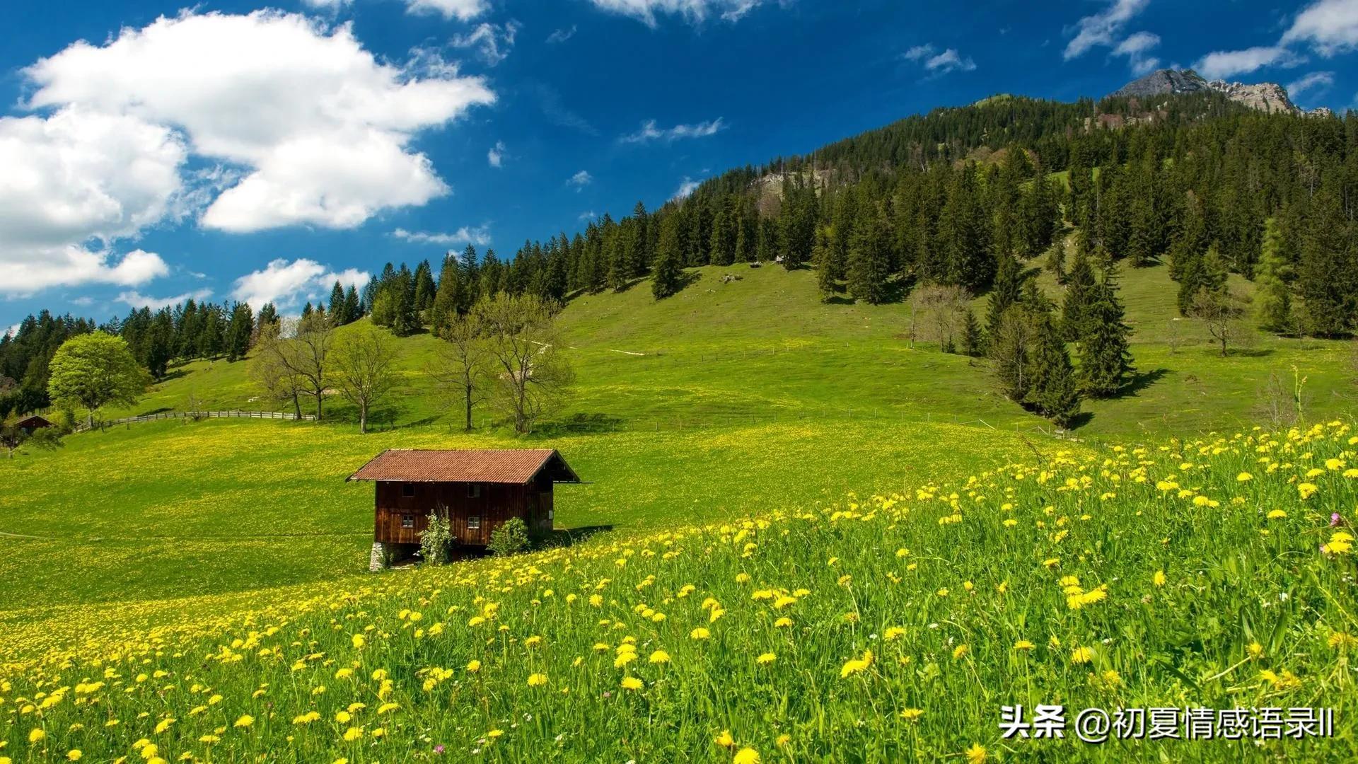 适合发朋友圈人生感悟的经典语录,生活感悟情感共鸣内容过于真实