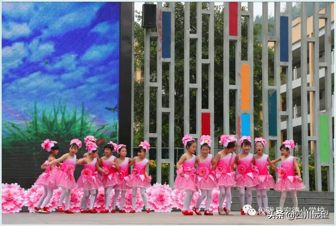 保护环境倡导文明校园,爱护环境保护地球创建和谐校园