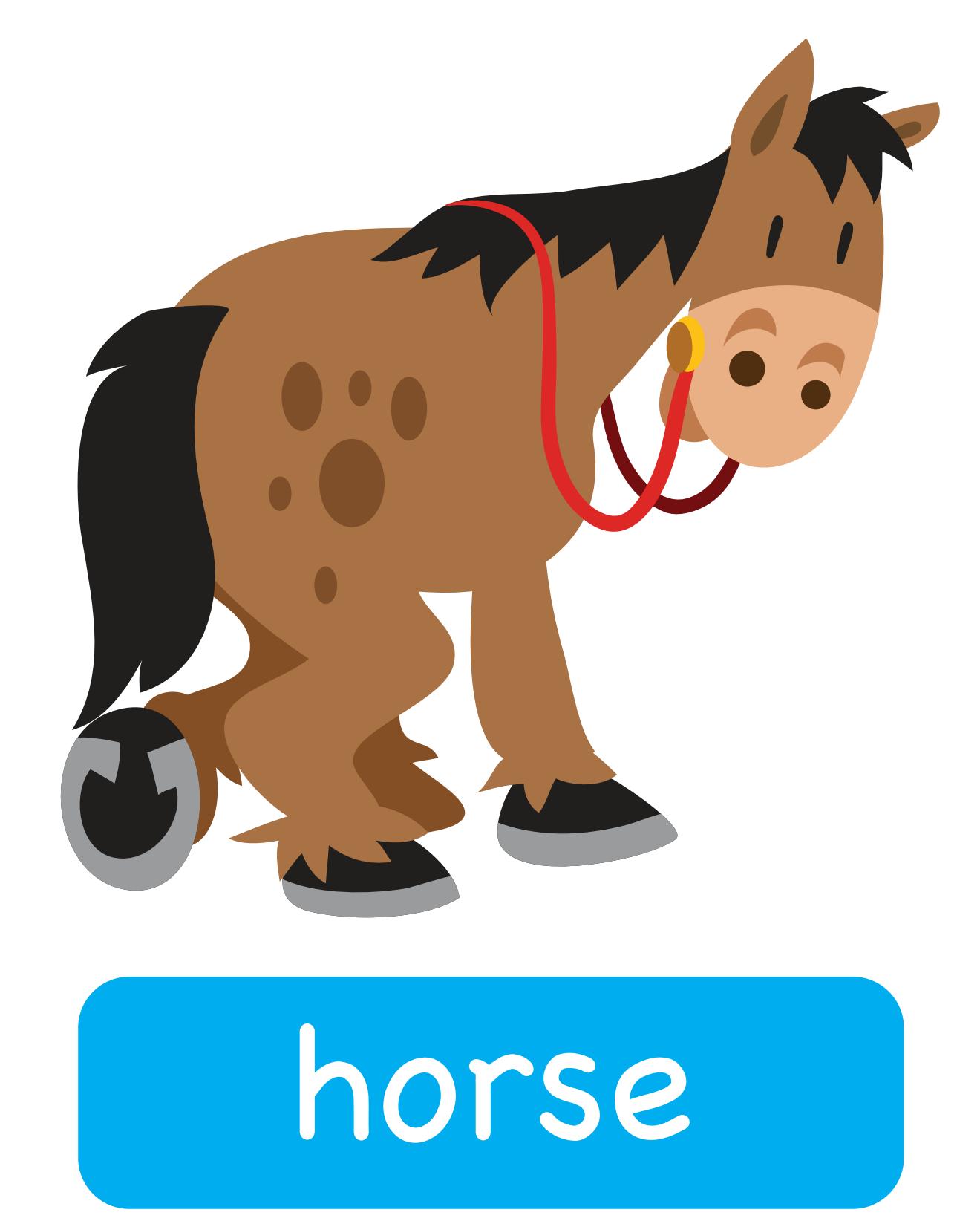 图说英语单词：高清动物类卡片，一图一单词