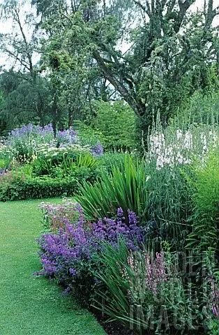 如何打造自己的小院,打造小院最省钱