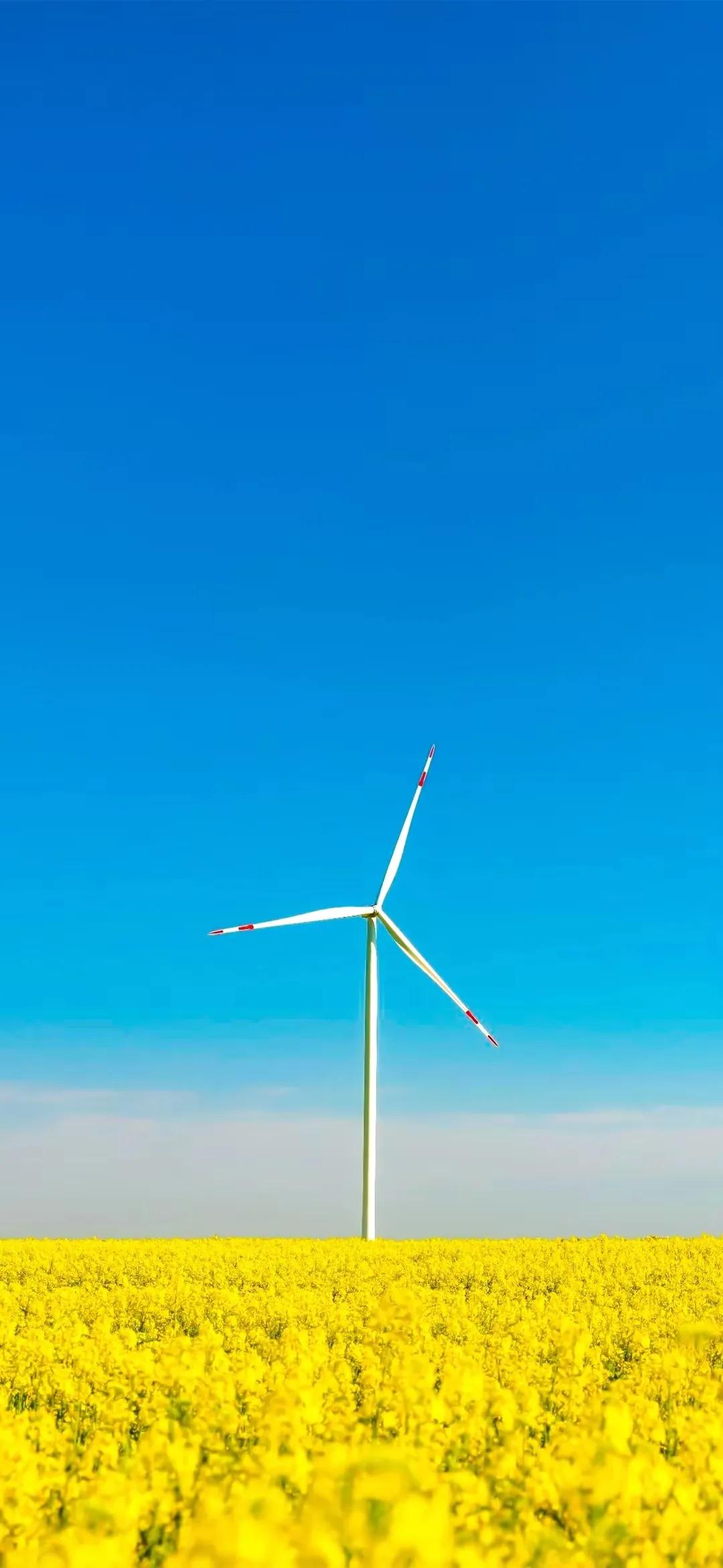 顶级绝美花朵壁纸娇艳欲滴的玫瑰,华为手机壁纸高清全面屏唯美花朵