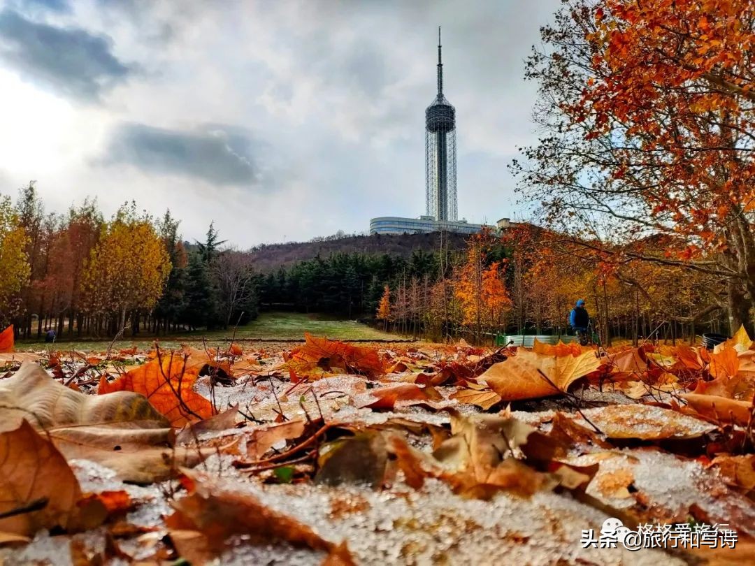 大连劳动公园相亲角,大连劳动公园唱歌的