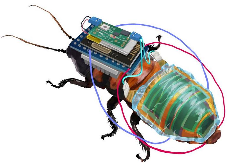 仿生机械昆虫项目设计,国外研发出昆虫仿生机器人