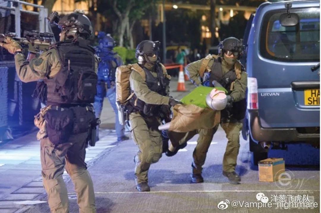 虎年说虎科普视频,虎年说虎运用了哪些说明方法