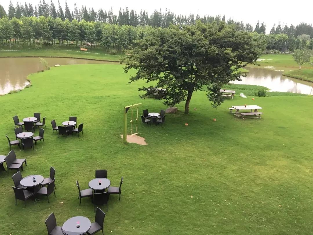 农场果园10大盈利模式,开心农场种蔬菜赚钱技巧