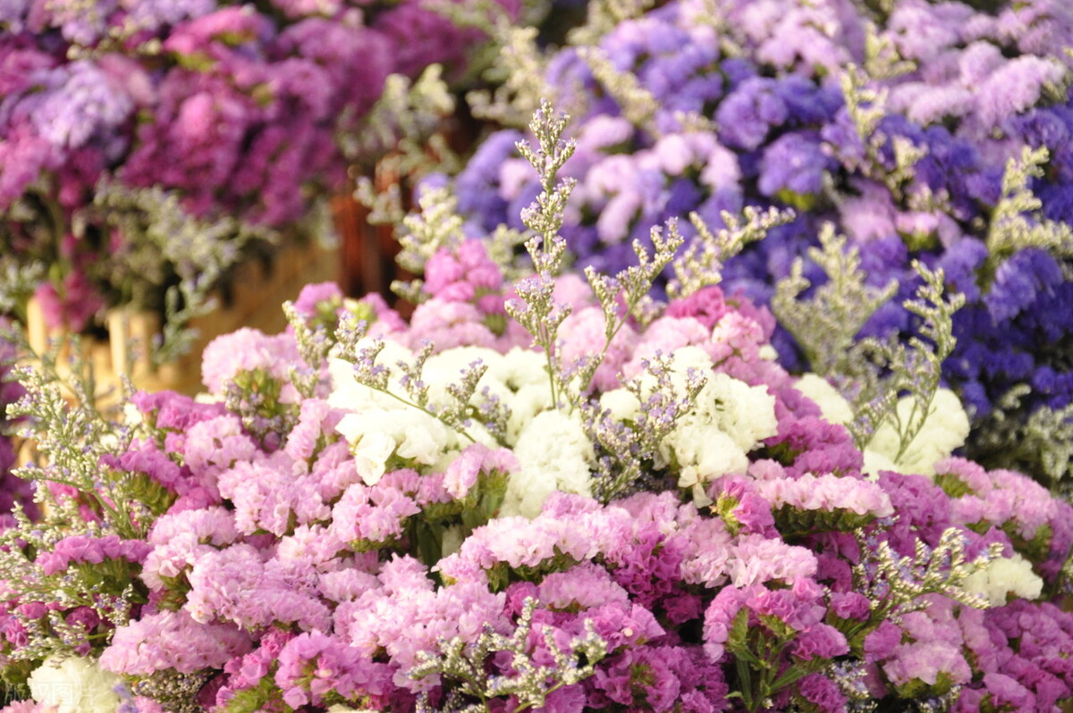 昆明及昆明周边景点,去昆明旅游攻略必去景点最新