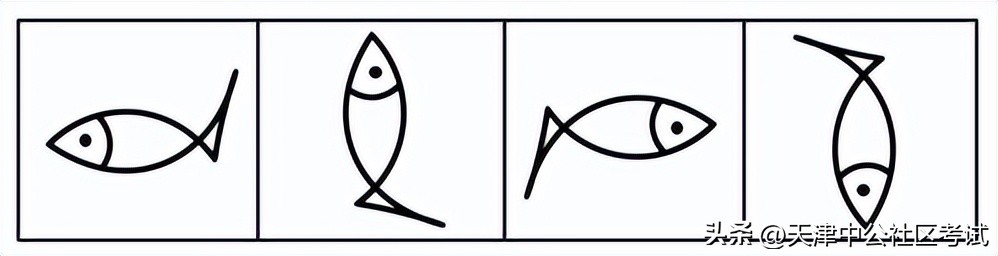 行测图形推理中的旋转和翻转区分,深圳行测图形推理