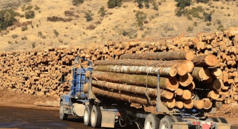 一战前英俄贸易关系,18世纪的中俄有什么关系