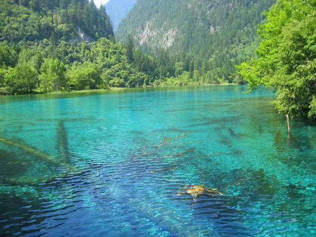 记录生活小碎片的文案,生活的零碎碎片文案