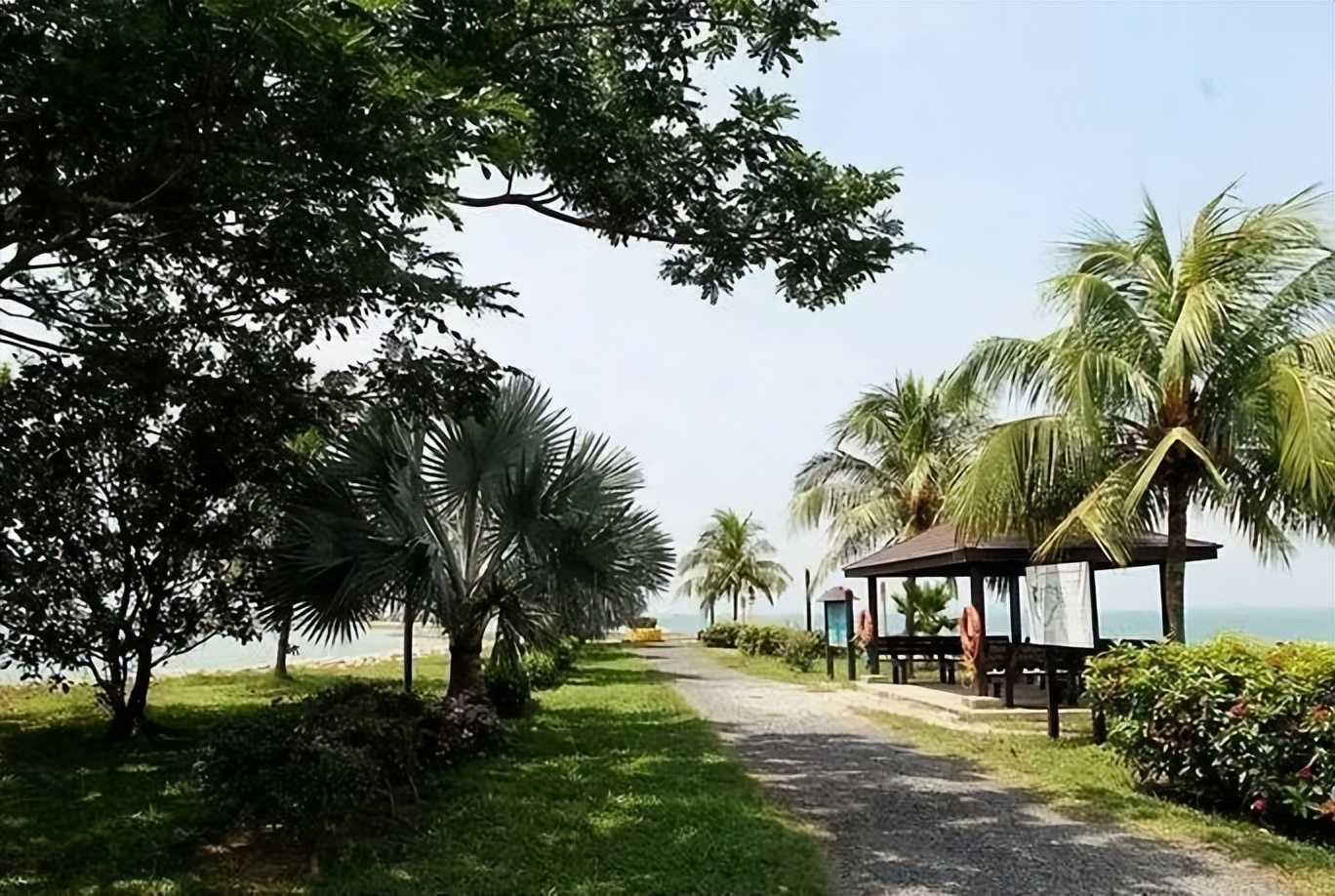 新加坡垃圾需要分类吗,新加坡没有垃圾袋怎么办