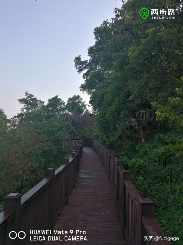 深圳徒步路线从梧桐山到盐田,深圳十峰大南山徒步最佳路线