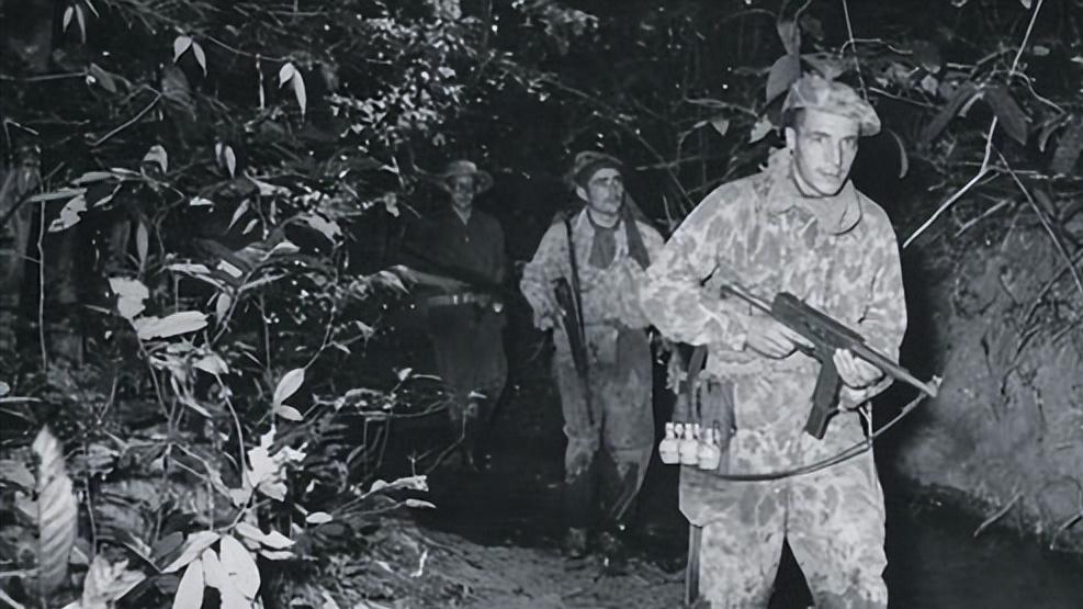 中法海战1946年法军赔偿了什么,中法海防之战法军伤亡