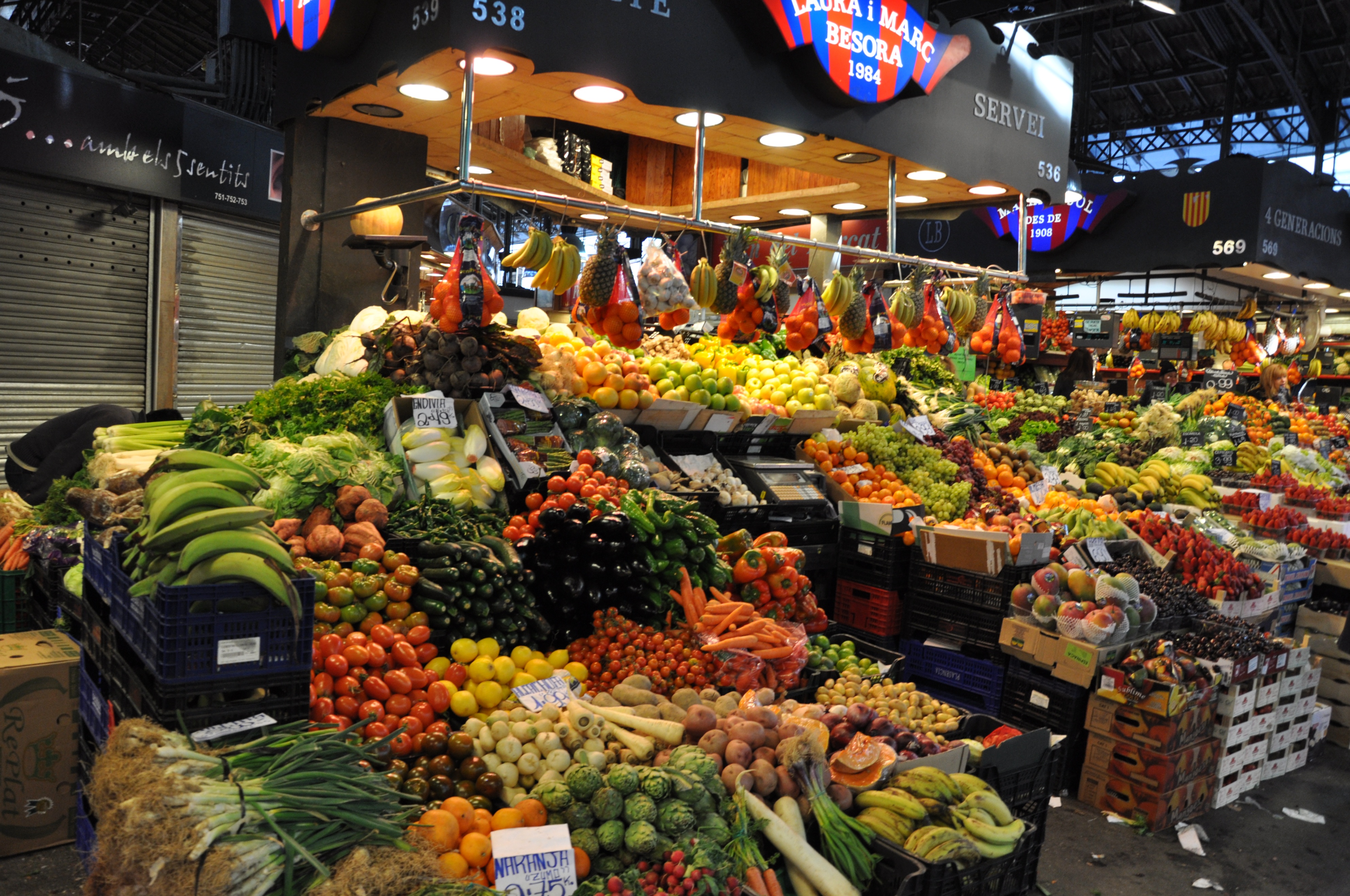 巴塞罗那圣家堂高迪,巴塞罗那高迪的作品