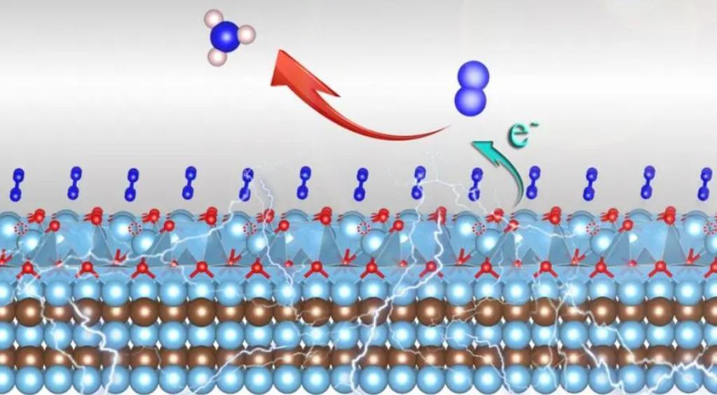 壳聚糖复合物的功效,壳聚糖复合物功效