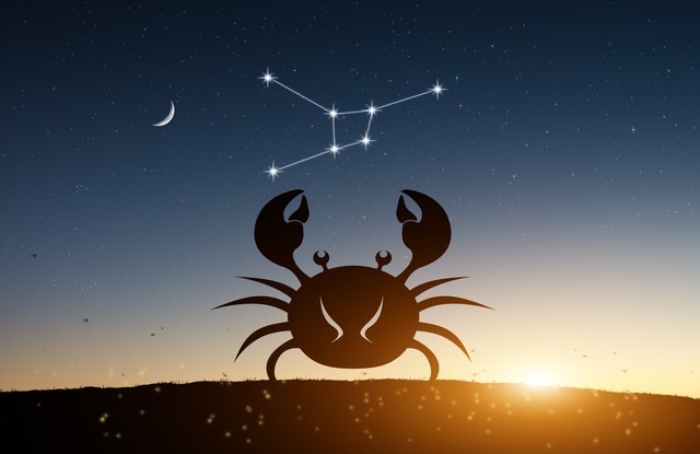 12星座配对的歌曲,12星座妻子配对