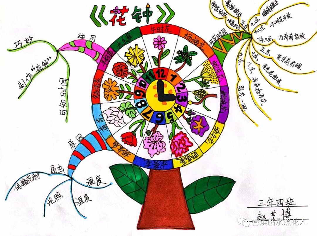 三年级下册语文花钟思维导图简单,三年级下册第13课花钟做思维导图