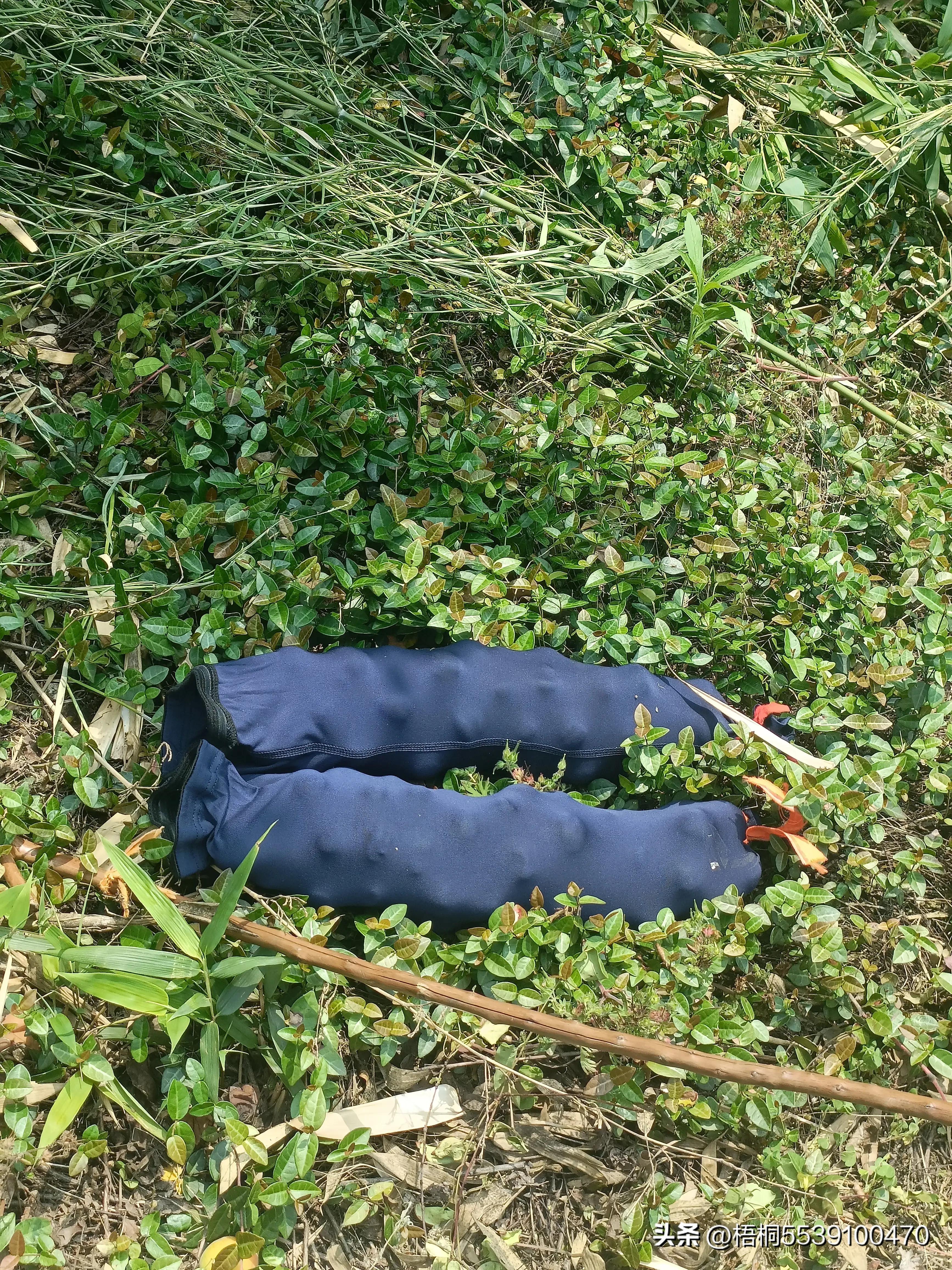 苏州洞庭西山有什么好玩的,苏州太湖东山还是西山好玩