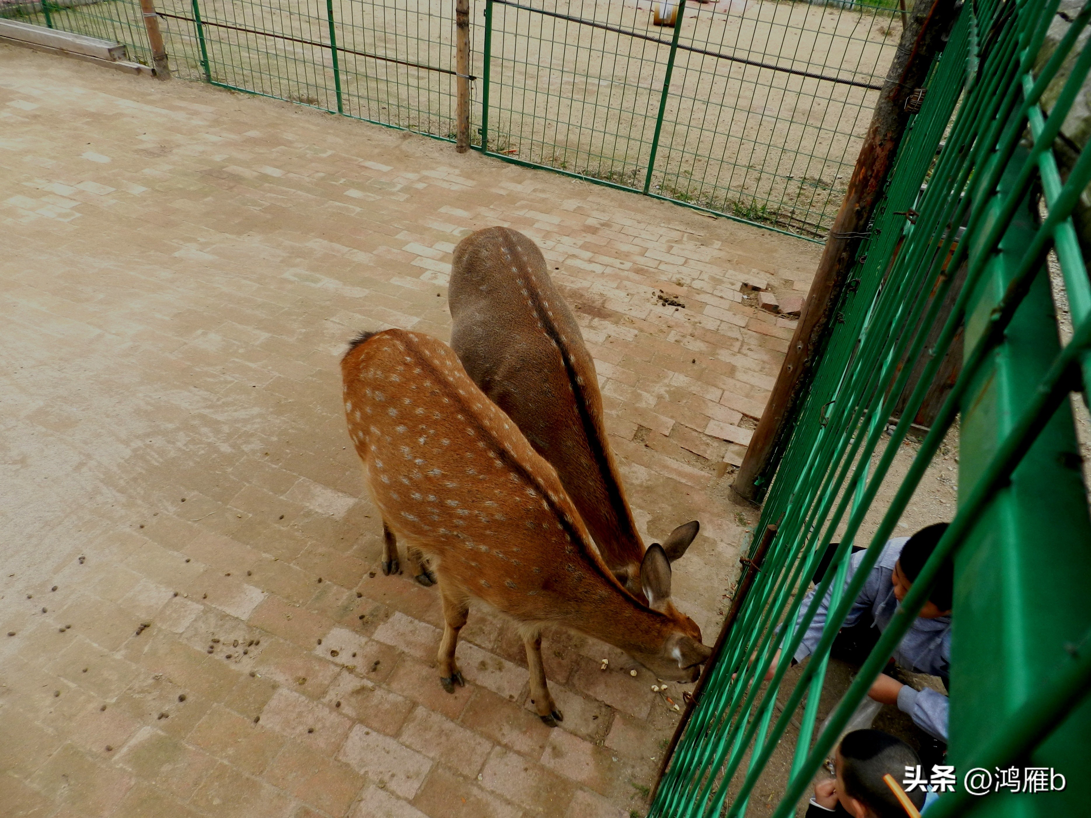本溪温泉汤沟门票价格,本溪花溪沐枫雪温泉小镇