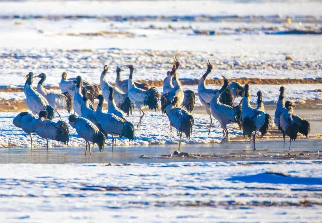 拉萨周边适合晚上去的地方,拉萨附近值得去的县城