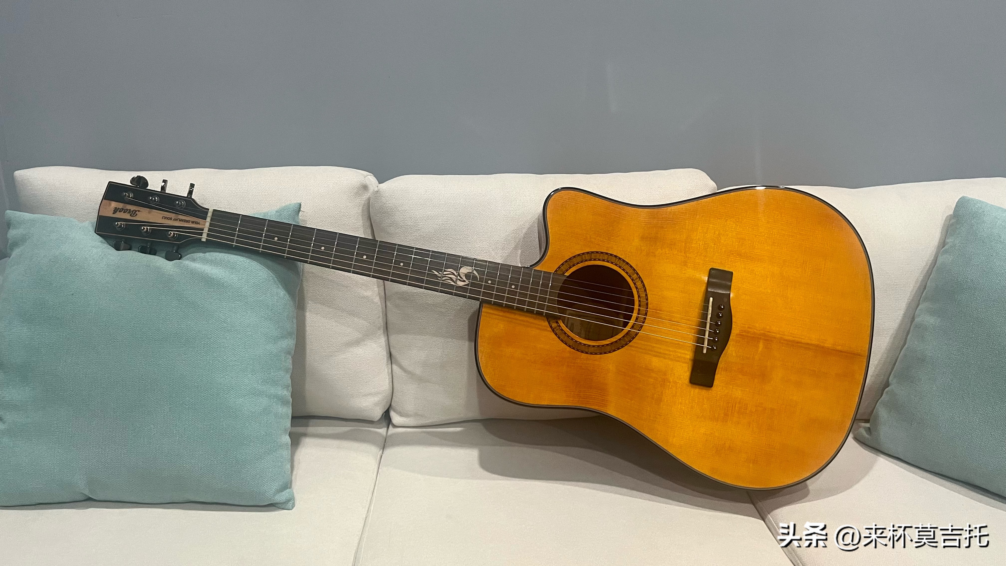 入门吉他是雅马哈好还是布鲁克好,吉他雅马哈fg800适合指弹