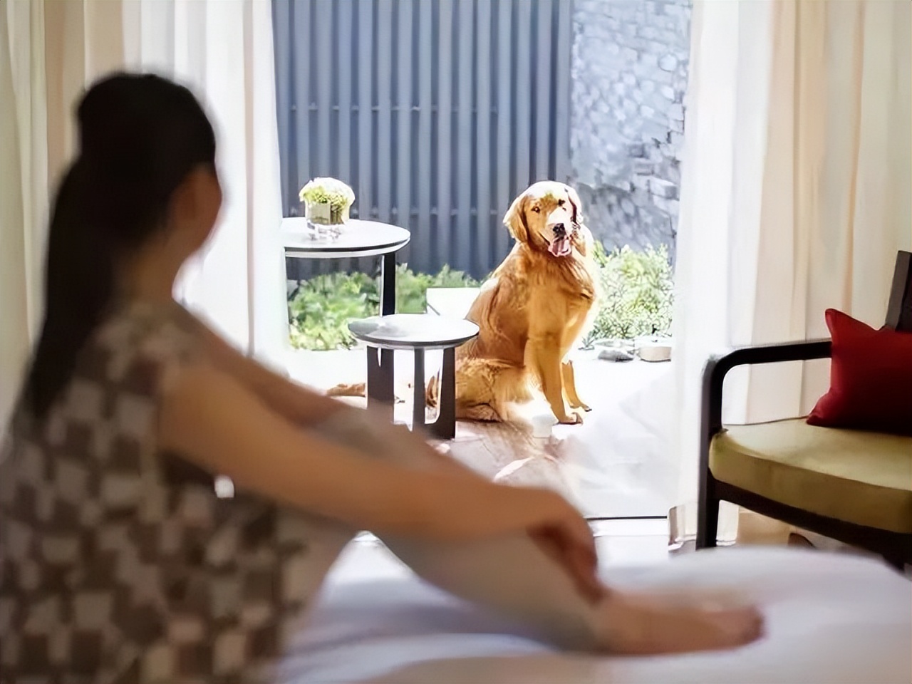 魔都宠物天地,魔都周边宠物友好景区