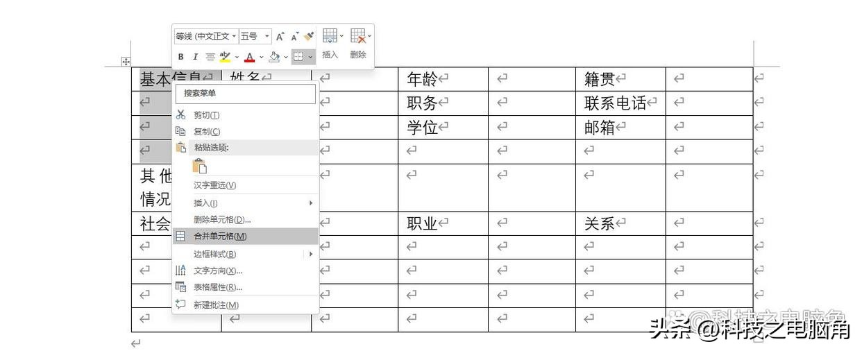 word表格中工作简历怎么对齐,word表格个人简历文字居中