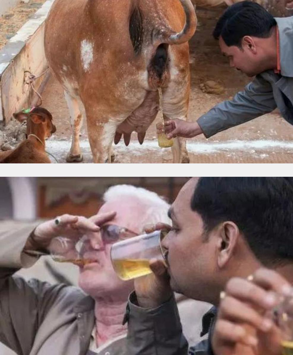 印度牛粪是第几产业,外国人看印度牛粪产业