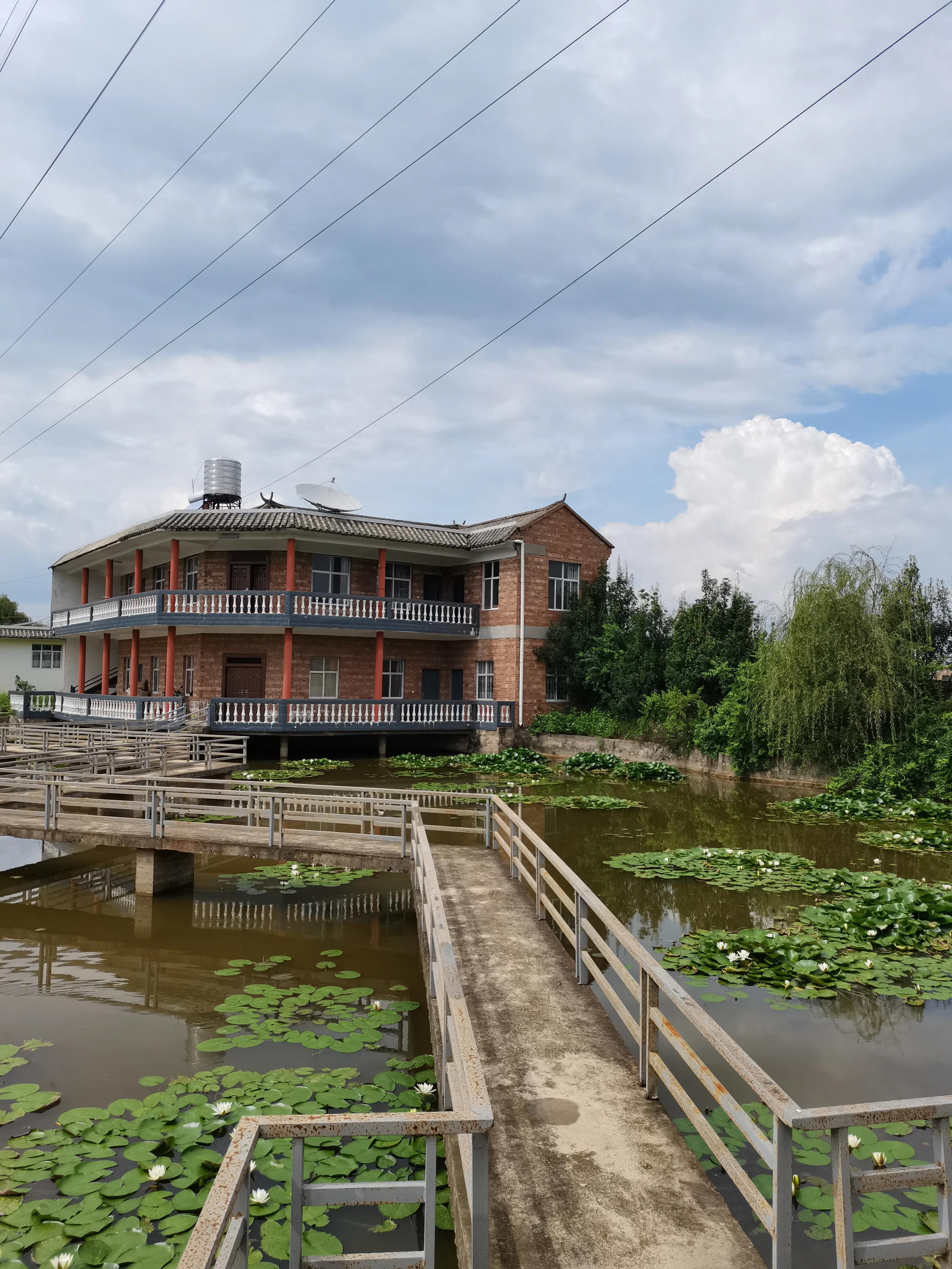 株洲附近休闲度假好去处,休闲度假好去处桥头莲湖荷花盛放