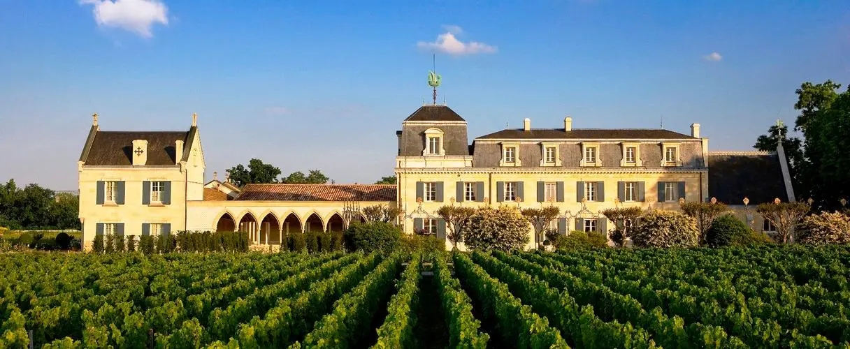 请说出5个法国葡萄酒产区名称,简述中国葡萄酒的主要产区及名品