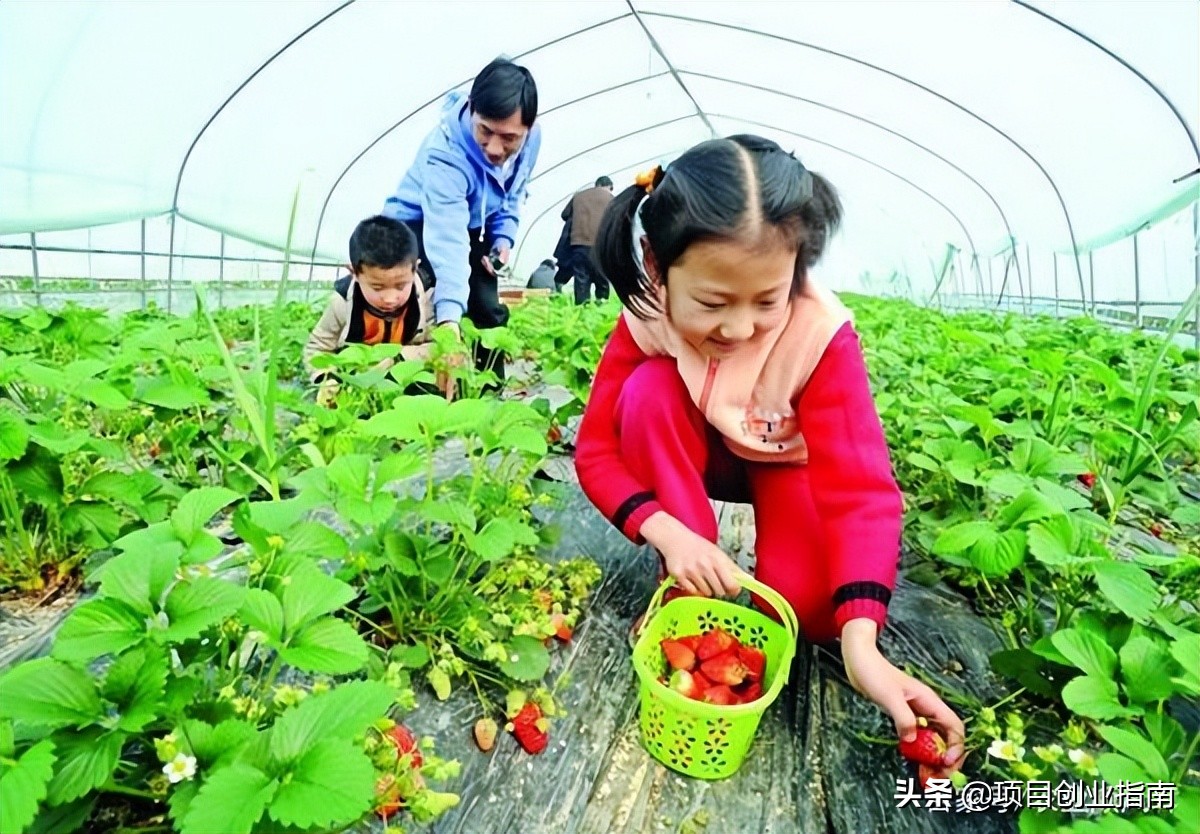 适合新手的赚钱小生意创业,创业小生意最赚钱的行业