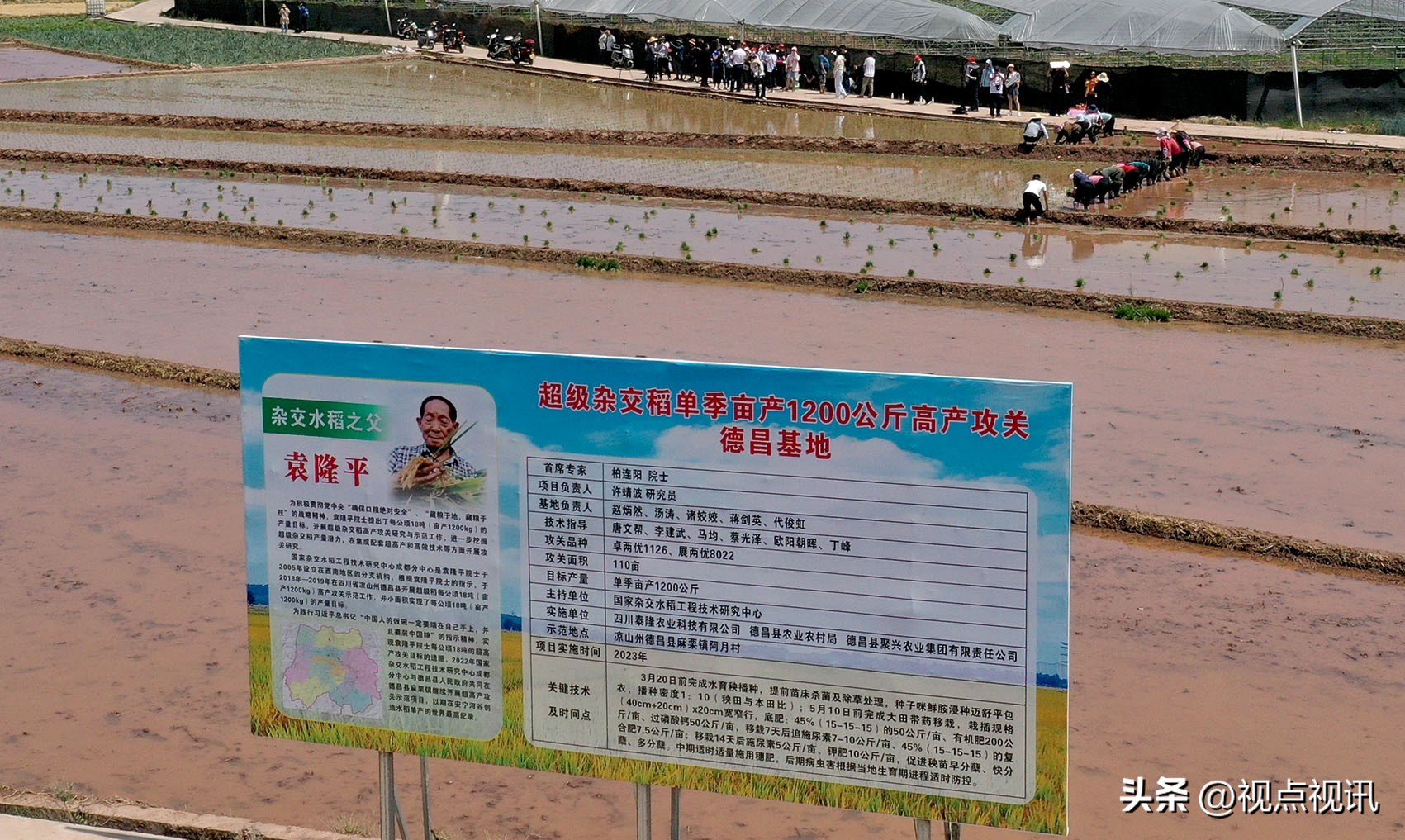 走进西吉看乡村振兴,乡村振兴看进贤罗溪